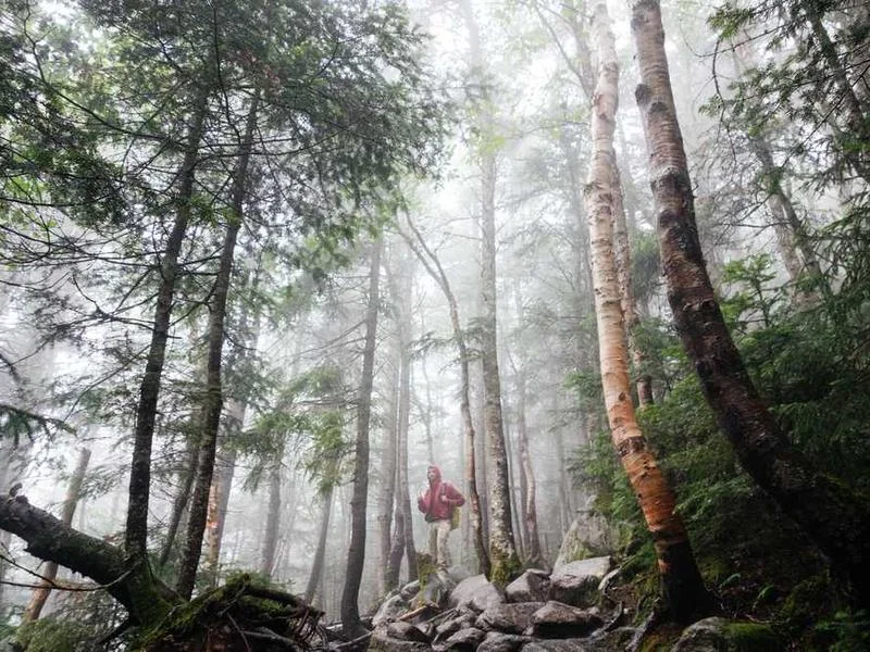가수동고압세척
