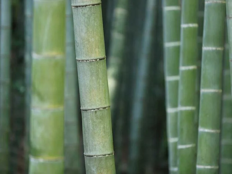 가수동변기뚫음
