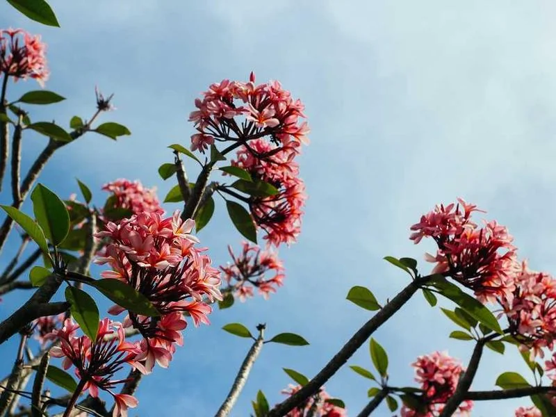 가수동변기뚫음