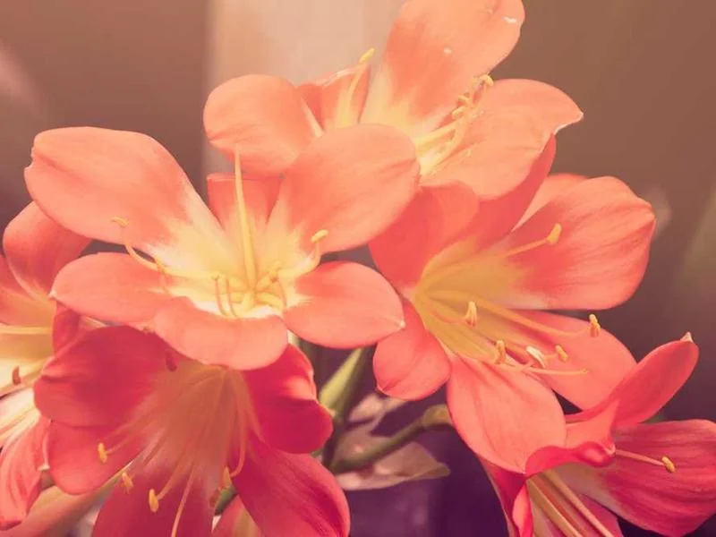 가수동변기막힘