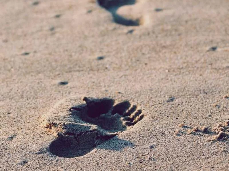 가수동변기역류