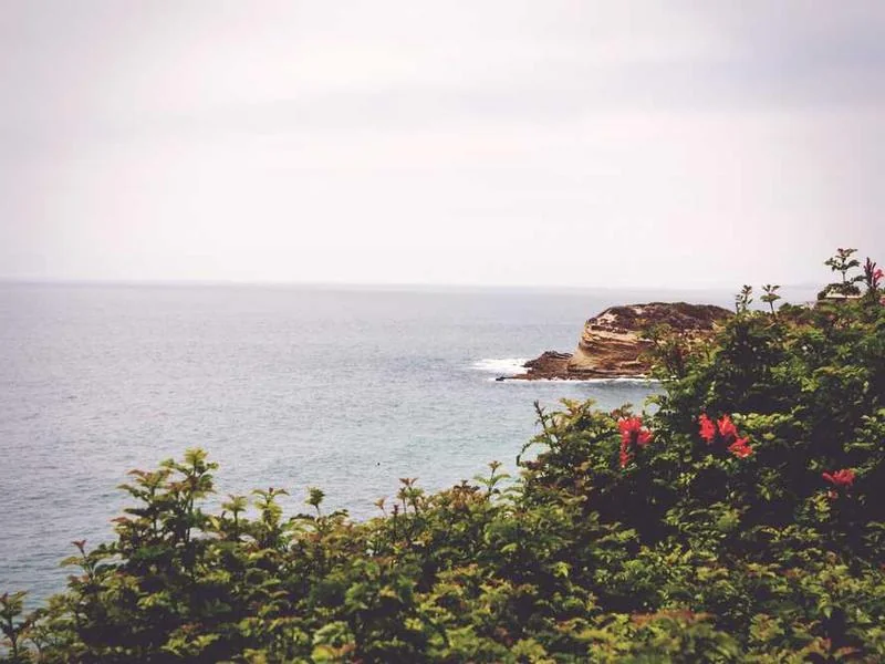 가수동변기역류