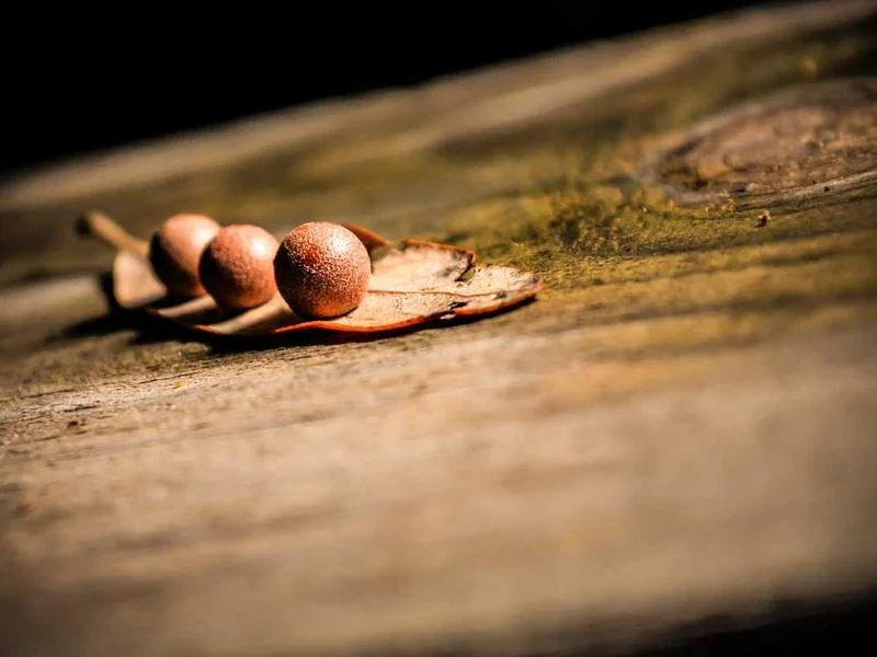 가수동변기역류