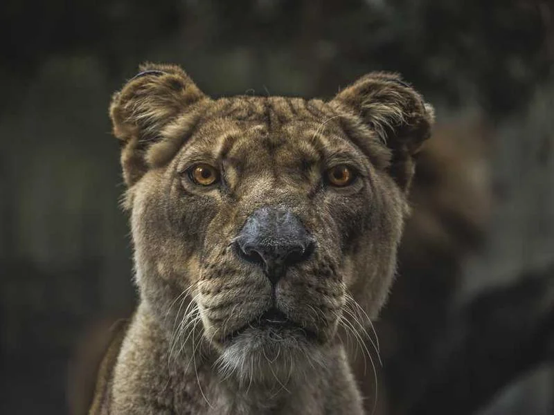 가수동싱크대뚫음