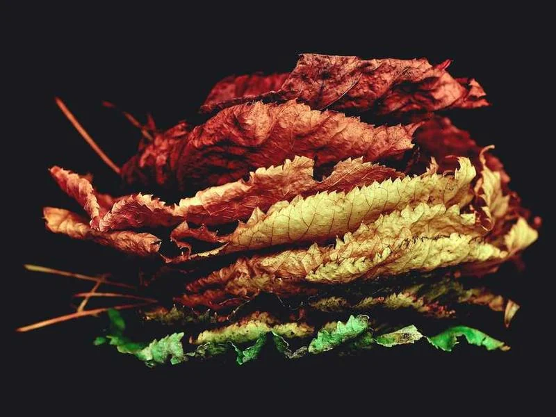 가수동싱크대막힘