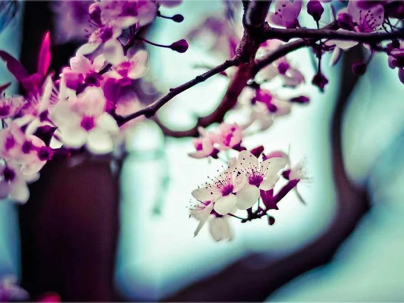 가수동싱크대막힘